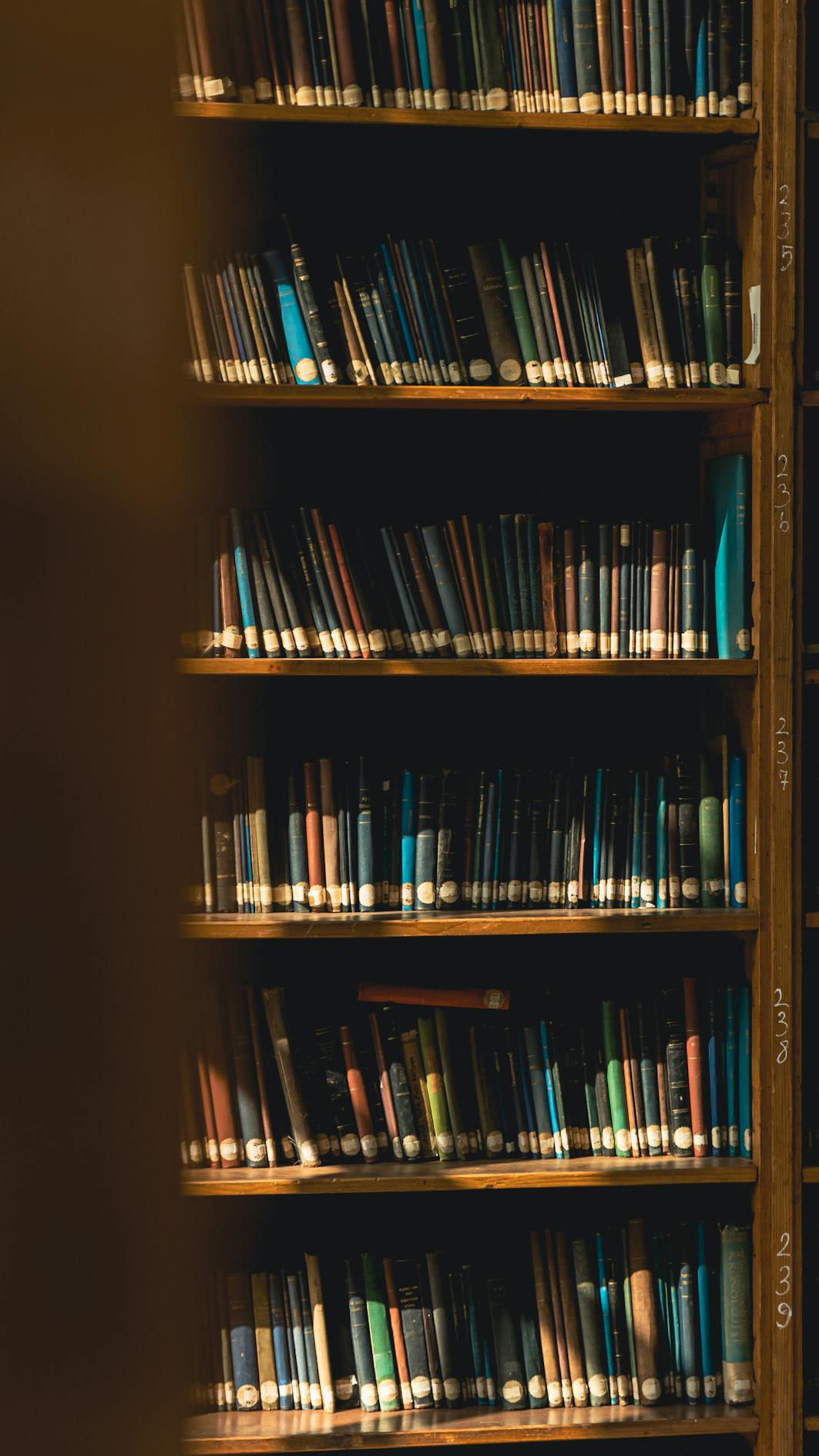 БИБЛИОТЕКИ + Wi-Fi бесплатно — куда зайти за книгой и интернетом