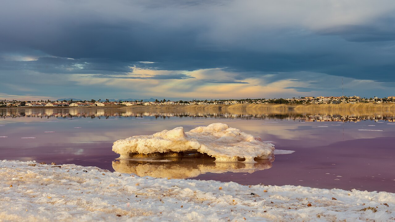 РОЗОВОЕ ОЗЕРО — Salinas Торревьехи